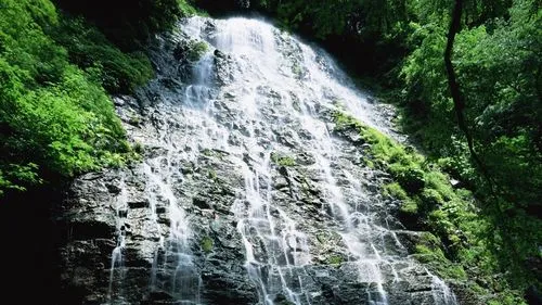 环保智能